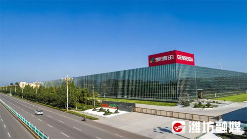 千里沃野競(jìng)風(fēng)流 松原軟件銷售的新篇章